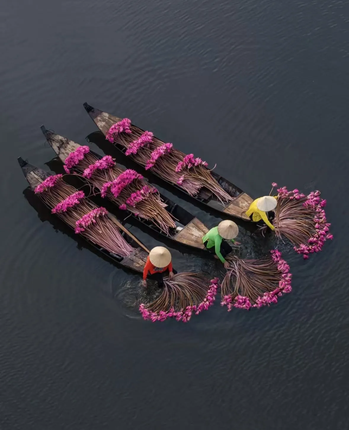 news-1178-1454 news-1178-1454